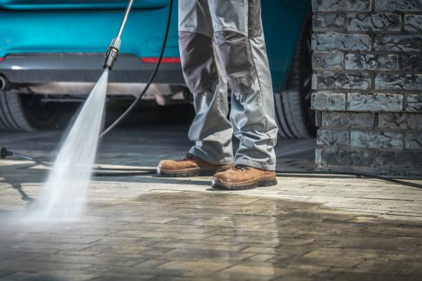 Best Dumpster Area Cleaning  in East Bronson, FL
