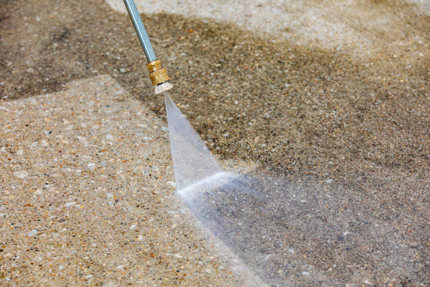 Best Building Exterior Washing  in East Bronson, FL