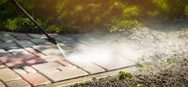 Best Boat and Dock Cleaning  in East Bronson, FL